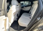 BMW X6 xDrive30d M Sport ICONIC LEDER RFKA 5 Sitze