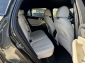 BMW X6 xDrive30d M Sport ICONIC LEDER RFKA 5 Sitze