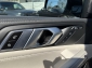 BMW X6 xDrive30d M Sport ICONIC LEDER RFKA 5 Sitze