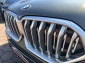 BMW X6 xDrive30d M Sport ICONIC LEDER RFKA 5 Sitze