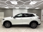 VW Tiguan 2.0 TDI DSG GOAL Design-Paket 360� AHK Navi