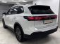 VW Tiguan 2.0 TDI DSG GOAL Design-Paket 360� AHK Navi