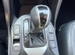 Hyundai Santa Fe 2.2 CRDi Premium 4WD Automatik Kamera Xen