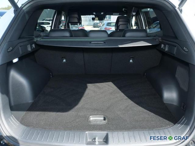 Kia Sportage – Bild 9