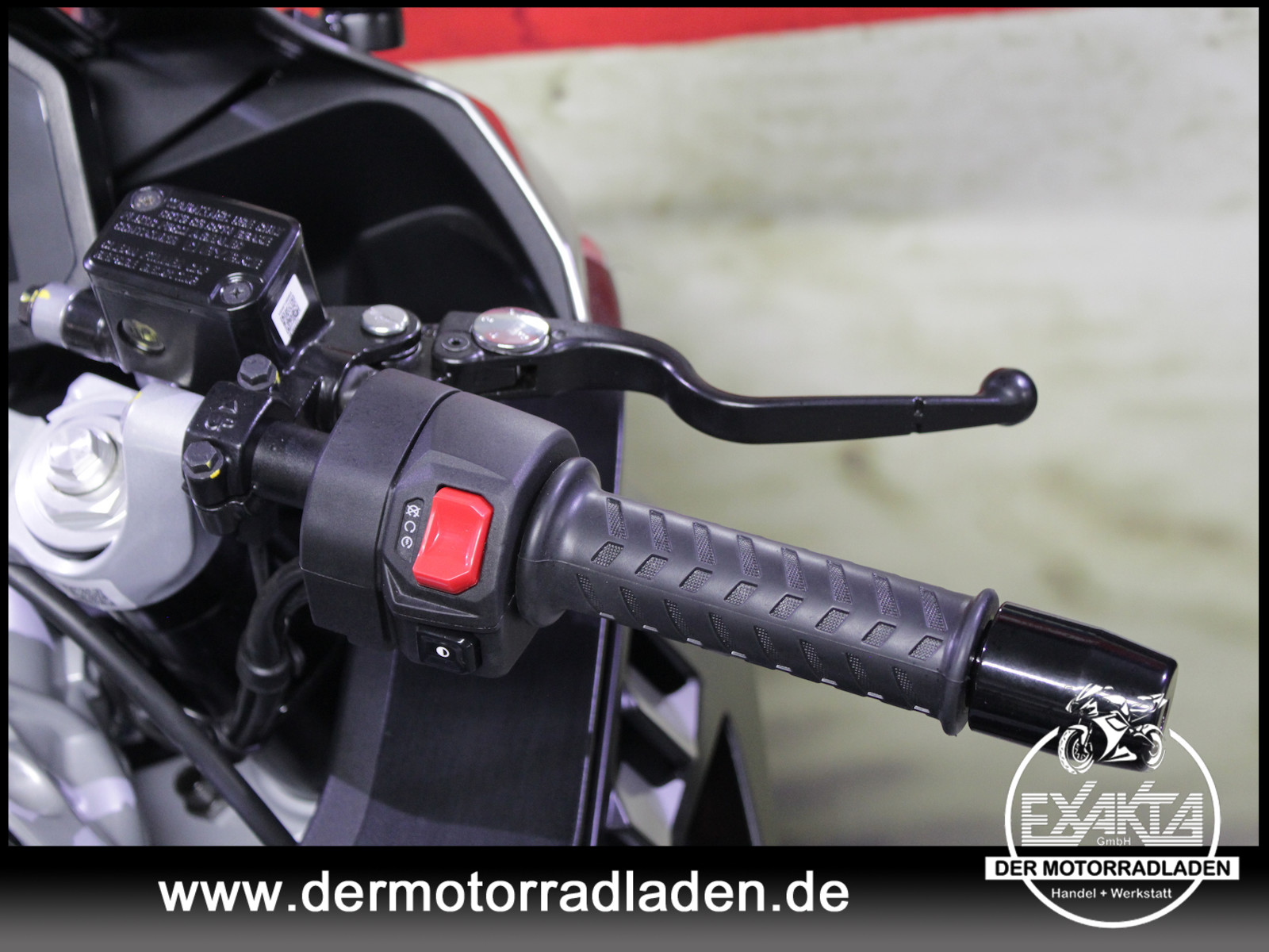 Bild 19