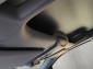 Fiat Doblo Serie 4 Kawas M 25th Anniversary