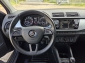 Skoda Fabia 1.0 TSI Car-Play/Android-Auto/Kamera