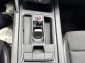 Cupra Formentor 2.0 TDI 4Drive 7G ACC Navi+ Apple 360� Ambient