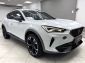 Cupra Formentor 2.0 TDI 4Drive Pano Navi 360� Beats LED