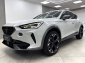 Cupra Formentor 2.0 TDI 4Drive Pano Navi 360� Beats LED