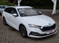 Skoda Octavia Combi 2,0 TDI DSG Style Matrix*AHK*ACC