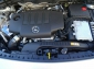 Mercedes-Benz B 200 D 4Matic Progr,8G-DCT,Leder,Kamera
