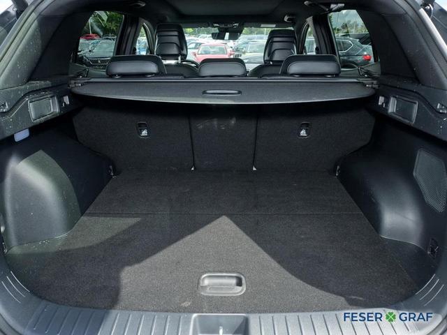 Kia Sportage – Bild 9