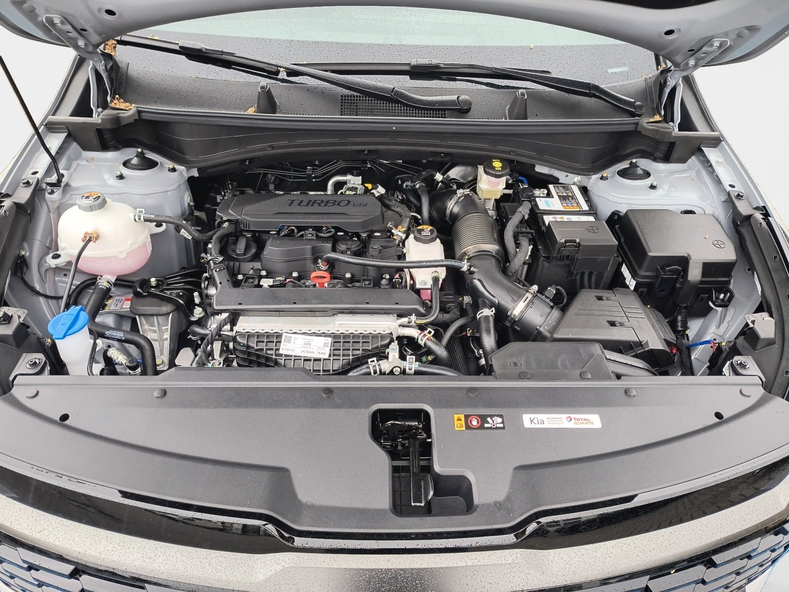 Kia Sportage – Bild 13