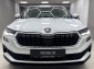 Skoda Karoq 2.0 TDI Ambition Tour Pano Navi RCam LED AHK