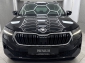 Skoda Karoq 2.0 TDI 4x4 Ambition Tour ACC Navi LED AHK