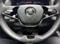Skoda Karoq 2.0 TDI 4x4 Ambition Tour ACC Navi LED AHK