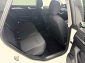 VW Arteon 2.0 TDI ActInfo ACC Navi LED AHK Apple