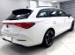 Cupra Leon SP 2.0 TDI ACC Apple Navi LED Rcam ParkAssist