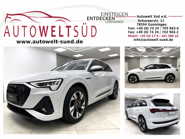 Audi e-tron 55 quattro S Line Sportpaket Black Matrix ACC Navi
