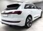 Audi e-tron 55 quattro S Line Sportpaket Black Matrix ACC Navi