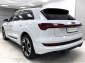 Audi e-tron 55 quattro S Line Sportpaket Black Matrix ACC Navi