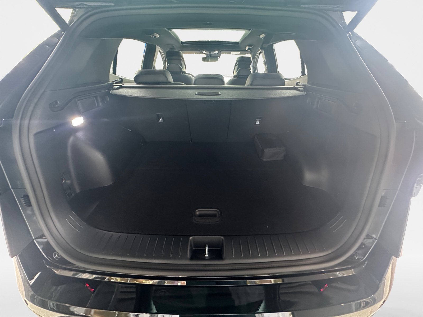 Kia Sportage – Bild 11