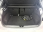 Cupra Born Tech + Pilot M Schalensitze Rcam ACC SHZ Navi
