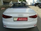Audi A5 40 TFSI S-Line Sport Cabrio,Autom,Leder,NavPlus