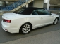 Audi A5 40 TFSI S-Line Sport Cabrio,Autom,Leder,NavPlus
