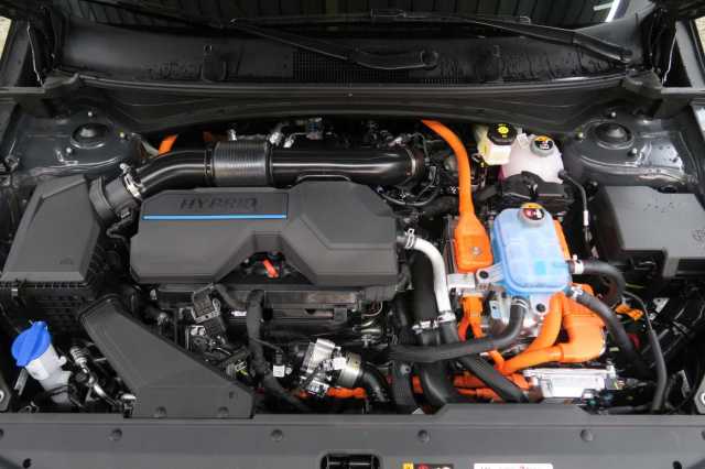 Kia Sportage – Bild 5