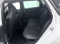 Cupra Leon VZ SP 2.0 TSI ACC RCam Navi ElHeck Ambient