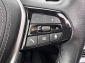 BMW 520d AMBIENTE PANORAMA RFKA DAB LED