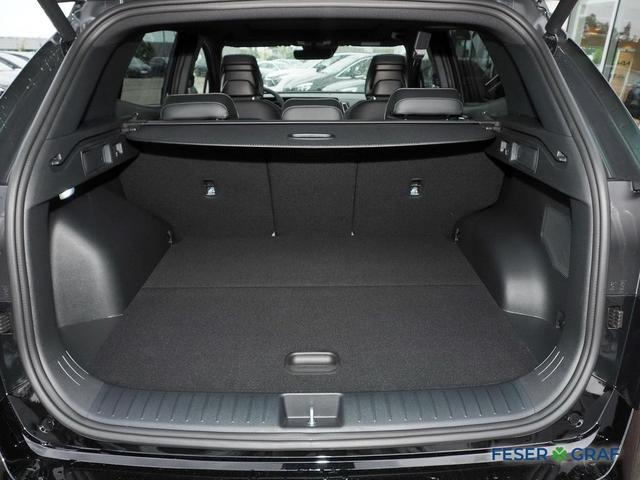 Kia Sportage – Bild 9