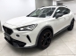 Cupra Formentor VZ 2.0 TSI Pano AHK Rcam Navi LED KeyL ElHeck