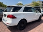 Mercedes-Benz GLE 350 d 4Matic COMAND SHD PDC