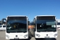 Mercedes-Benz O 530 Citaro LE