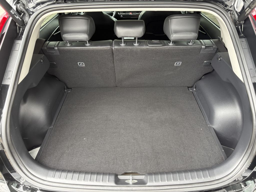 Kia Niro EV – Bild 7