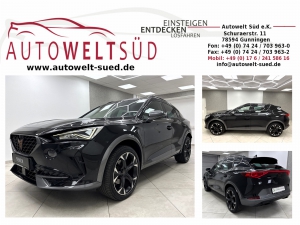 Cupra Formentor 2.0 TDI 4Drive 360� ACC 19�� F-Link Ambi