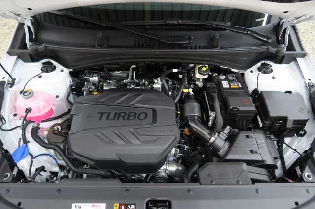 Kia Sportage – Bild 6