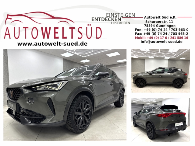 Cupra Formentor VZ 2.0 TSI Tribe Edition AHK Rcam 2XSpur 19��