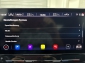 Cupra Formentor VZ 2.0 TSI Tribe Edition AHK Rcam 2XSpur 19��