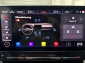 Cupra Formentor VZ 2.0 TSI Tribe Edition AHK Rcam 2XSpur 19��