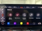 Cupra Formentor VZ 2.0 TSI Tribe Edition AHK Rcam 2XSpur 19��