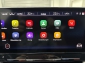 Cupra Formentor VZ 2.0 TSI Tribe Edition AHK Rcam 2XSpur 19��
