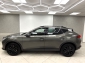 Cupra Formentor VZ 2.0 TSI Tribe Edition AHK Rcam 2XSpur 19��