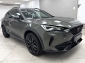 Cupra Formentor VZ 2.0 TSI Tribe Edition AHK Rcam 2XSpur 19��
