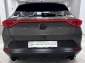 Cupra Formentor VZ 2.0 TSI Tribe Edition AHK Rcam 2XSpur 19��