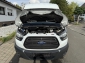Ford Transit 350 L3H2 Navi Sth SHZ Temp Regale ZR Neu Regale