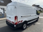 Ford Transit 350 L3H2 Navi Sth SHZ Temp Regale ZR Neu Regale